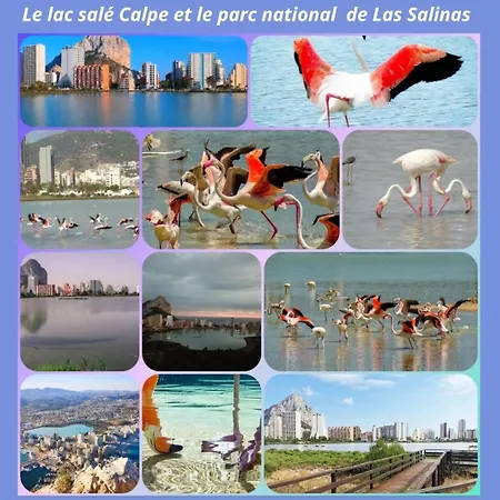 Paradis Lejlighed Calpe